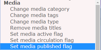 Bulk Actions media published flag