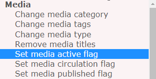 Bulk Actions set media flag